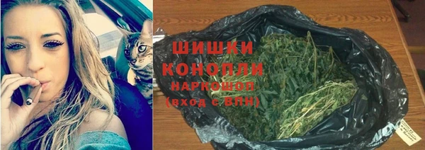 гидра Армянск