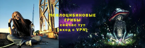 не бодяженный Арсеньев