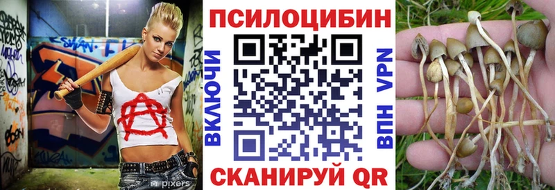 KRAKEN ONION  Северобайкальск  Псилоцибиновые грибы прущие грибы 
